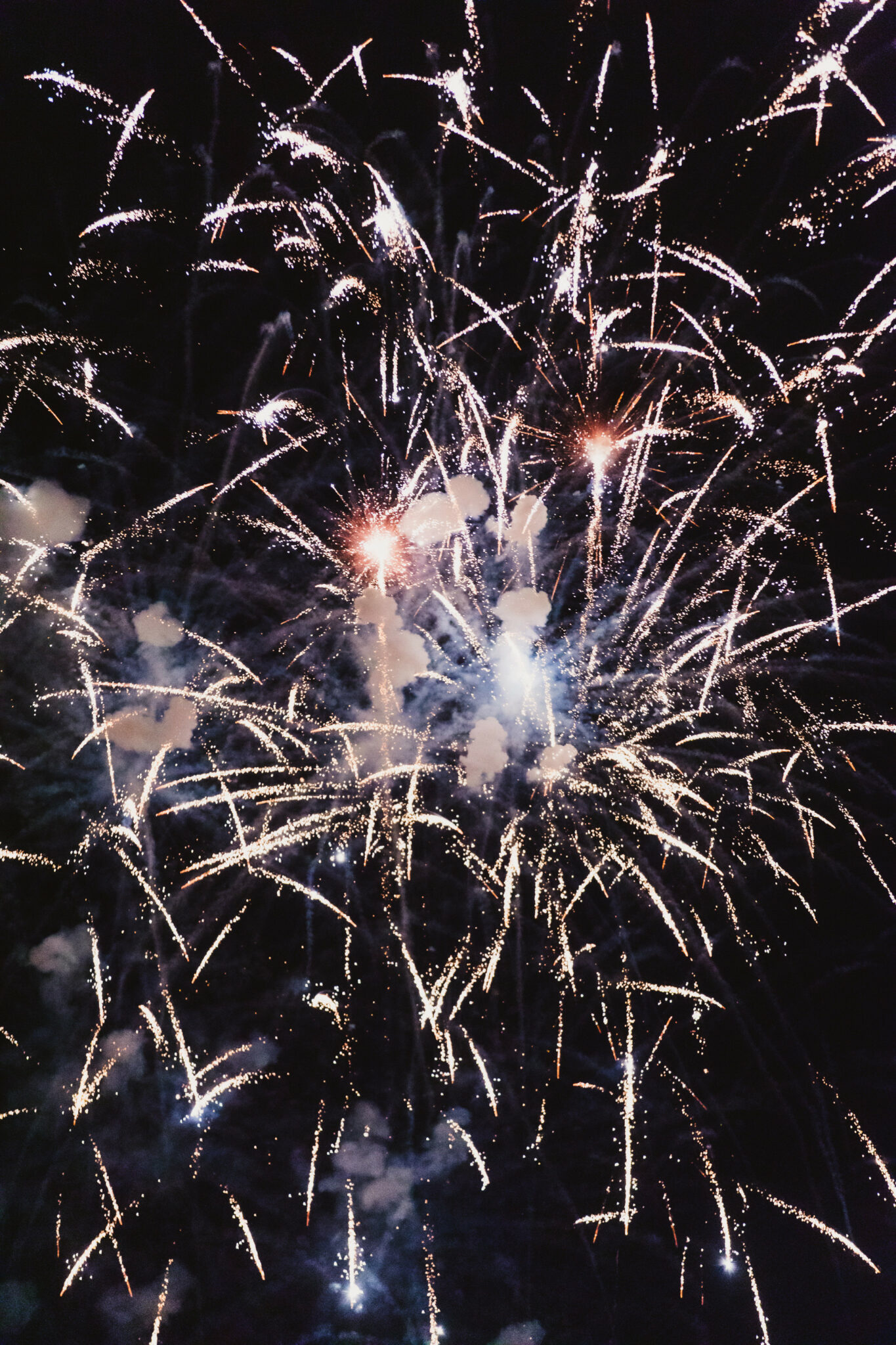 SofianePamart-Francofolies24-669-3264